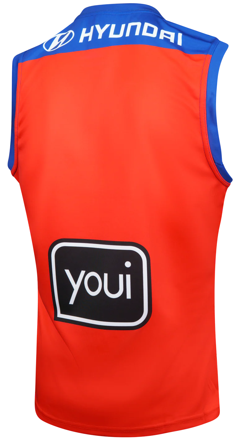 Brisbane Lions 2026 AFL Mens Away Guernsey - Image 2
