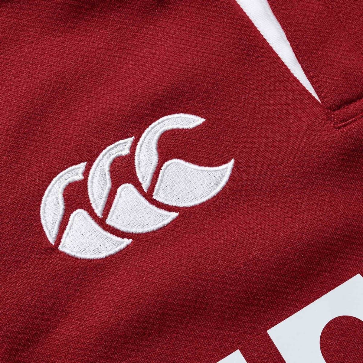 British & Irish Lions 2025 Rugby Union Mens Classic Jersey - Image 4