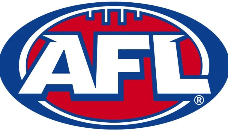 Richmond Tigers AFL Back to Back Premiers Guernsey - Image 4