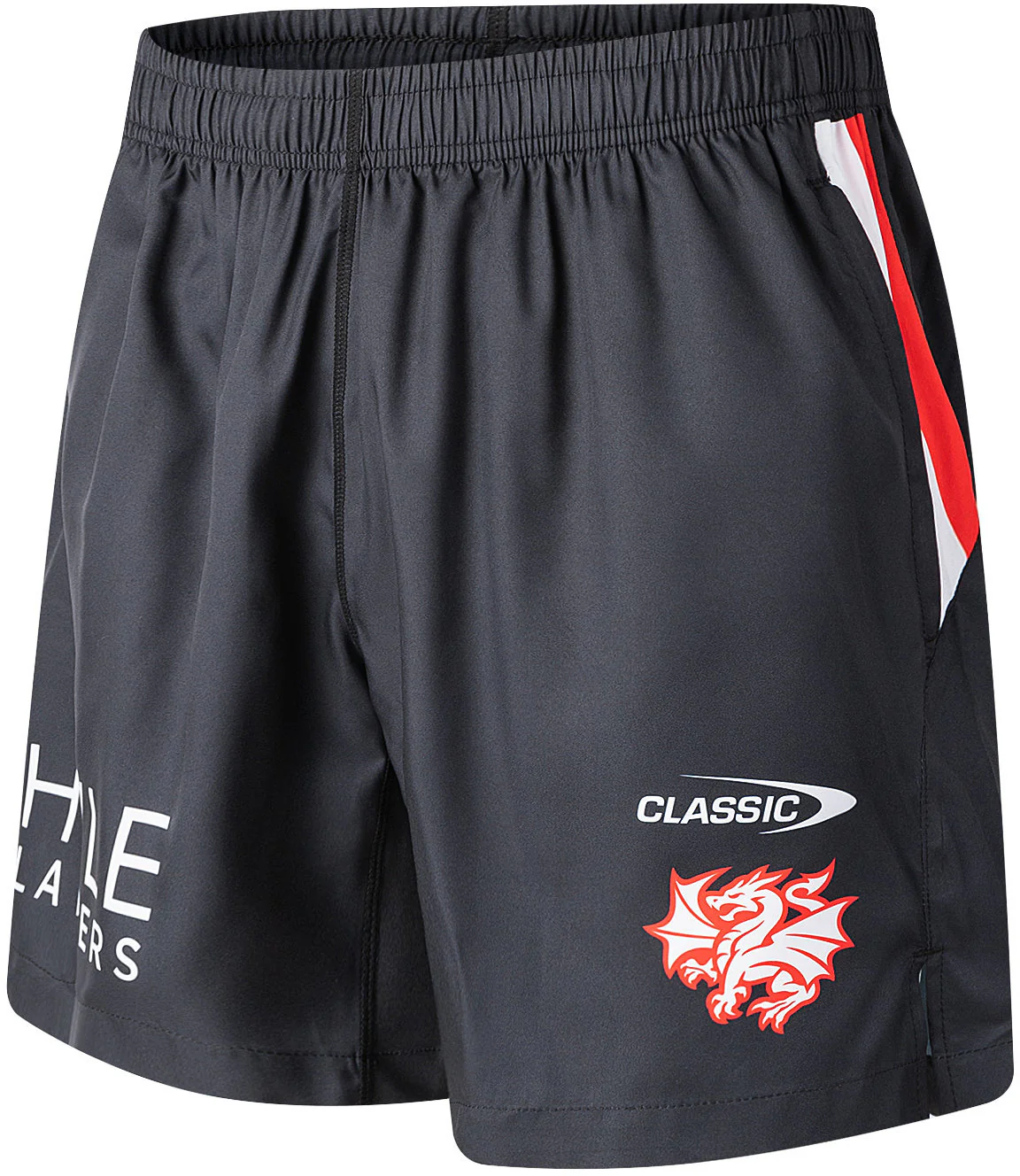 St George Dragons 2026 NRL Mens Gym Training Shorts - Image 2